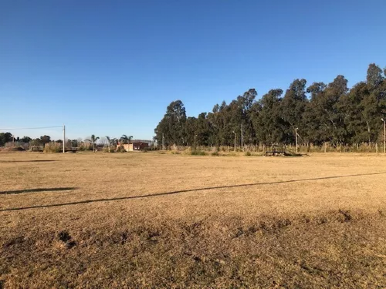 Lote de 800 m2 en Barrio Privado Cañuelas Park